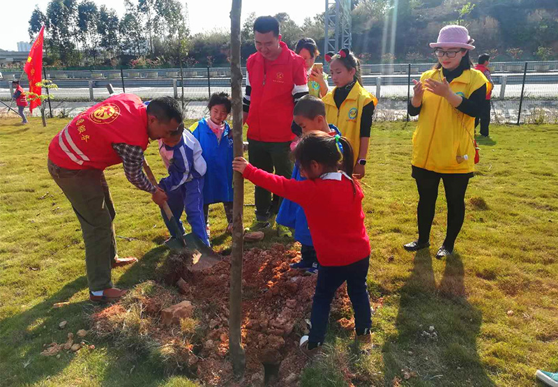 华体会体育志愿者在植树中