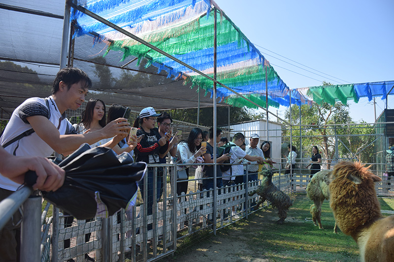 华体会体育园区党委举办了以“不忘初心·牢记使命”为主题的主题党日活动